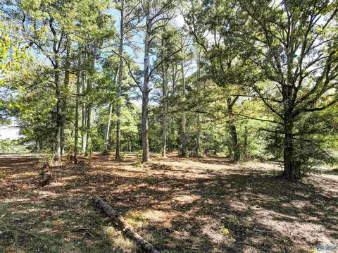 6 78 Matt Morrow Rd, Joppa, AL 35087 photo 6