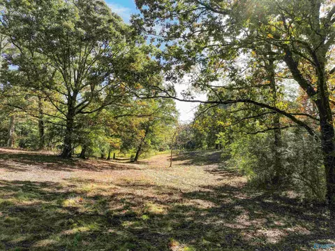6 78 Matt Morrow Rd, Joppa, AL 35087 photo 5