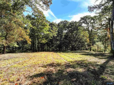6 78 Matt Morrow Rd, Joppa, AL 35087 photo 3