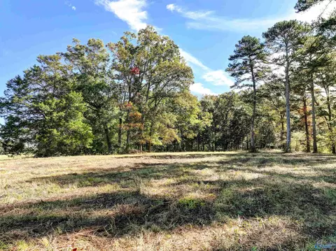 6 78 Matt Morrow Rd, Joppa, AL 35087 photo 8