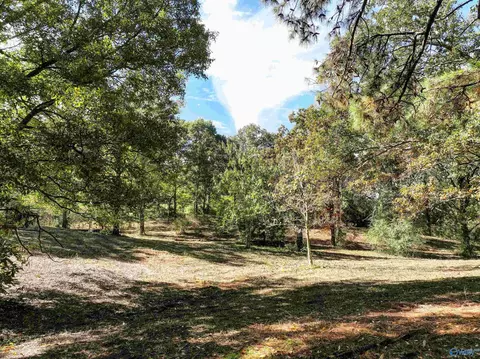 6 78 Matt Morrow Rd, Joppa, AL 35087 photo 4