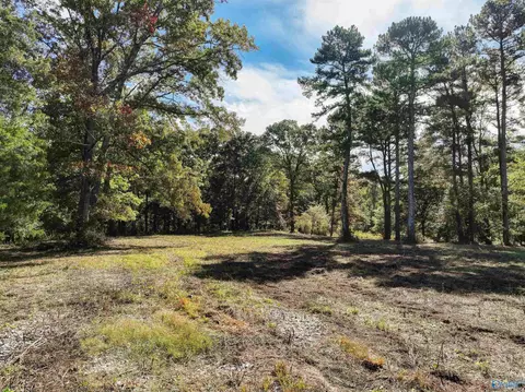 6 78 Matt Morrow Rd, Joppa, AL 35087 photo 2