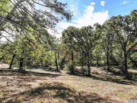 6 78 Matt Morrow Rd, Joppa, AL 35087 photo 7