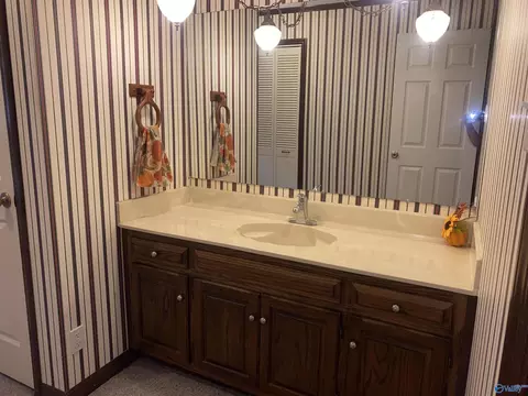 Bath - 6108 County Road 222, Trinity, AL 35673 photo 3 of 3