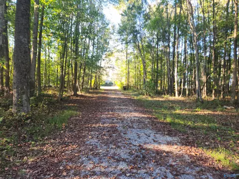 21670 Alabama Highway 71, Flat Rock, AL 35966