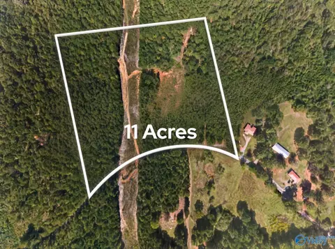 11 Acres County Road 297, Talladega, AL 35160