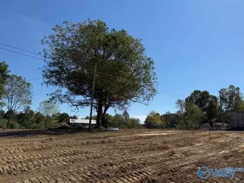 lot1 County Road 1497, Vinemont, AL 35179