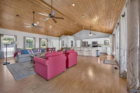 Living - 266 Robert Davis Rd, Langston, AL 35755 photo 3 of 5