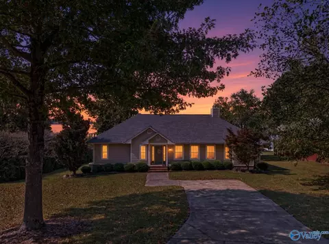 Exterior - 266 Robert Davis Rd, Langston, AL 35755 photo 10 of 10