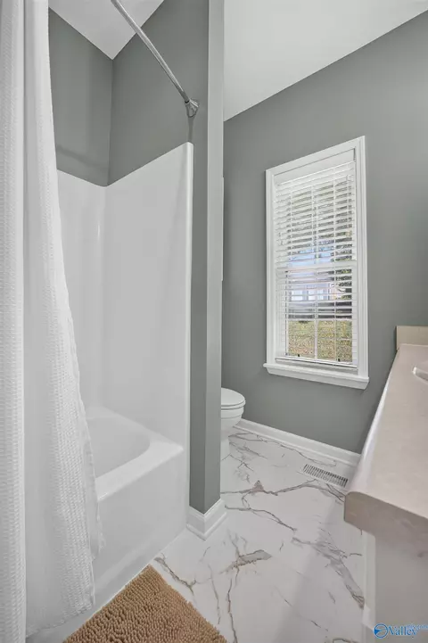 Bath - 266 Robert Davis Rd, Langston, AL 35755 photo 2 of 4