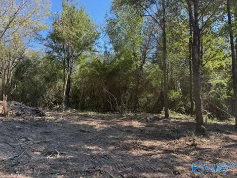 lot4 County Road 1497, Vinemont, AL 35179