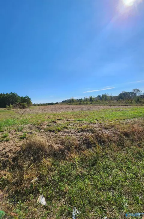 lot8 County Road 352, Trinity, AL 35673 photo 2