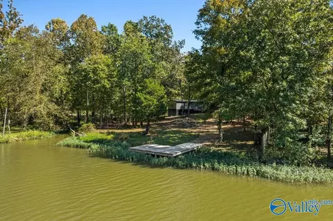 View/Area - 285 County Road 905, Cedar Bluff, AL 35959 photo 2 of 3