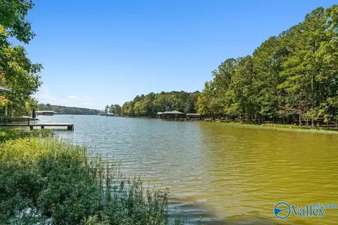View/Area - 285 County Road 905, Cedar Bluff, AL 35959 photo 3 of 3