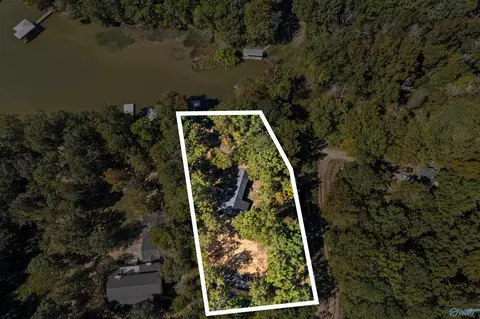 Other - 285 County Road 905, Cedar Bluff, AL 35959 photo 7 of 7