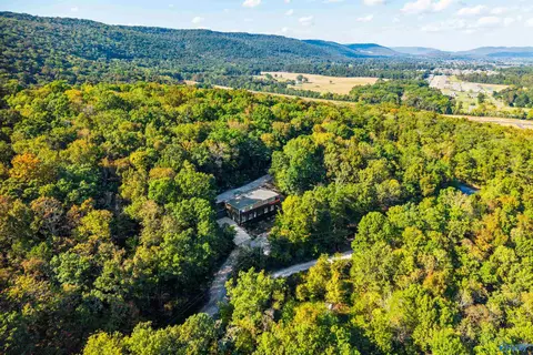 497 S Green Mountain Rd, Owens Cross Roads, AL 35763