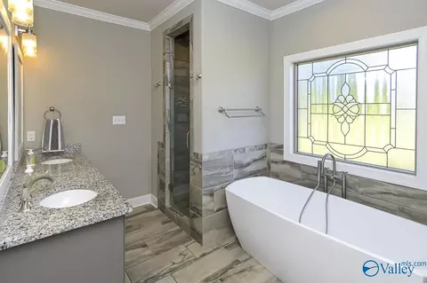Bath - 2104 Queenston Loop, Decatur, AL 35603 photo 3 of 6