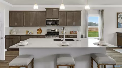 Kitchen - 17648 Ruby Dr, Athens, AL 35613 photo 1 of 3