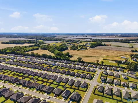 View/Area - 12839 Junior, Madison, AL 35756 photo 1 of 5