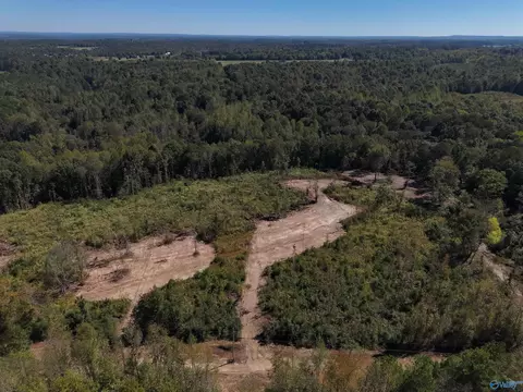 5 03 Ac County Road 357, Pisgah, AL 35765