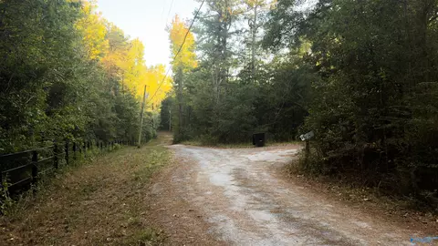 6 Acres Winding Brook Dr, Guntersville, AL 35976