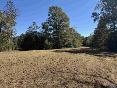 20 Riverview Dr, Grant, AL 35747 photo 14