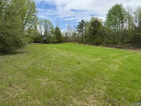 20 Riverview Dr, Grant, AL 35747 photo 11