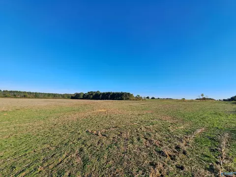 10 95 Acres County Road 96, Rogersville, AL 35652