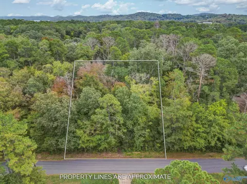 lot3 Bayshore Dr, Guntersville, AL 35976
