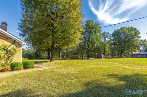 Exterior - 278 John Johnson Rd, Trinity, AL 35673 photo 13 of 13