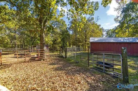 Exterior - 278 John Johnson Rd, Trinity, AL 35673 photo 5 of 13