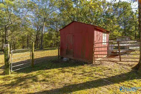 Exterior - 278 John Johnson Rd, Trinity, AL 35673 photo 6 of 13