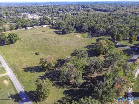 View/Area - 278 John Johnson Rd, Trinity, AL 35673 photo 3 of 5