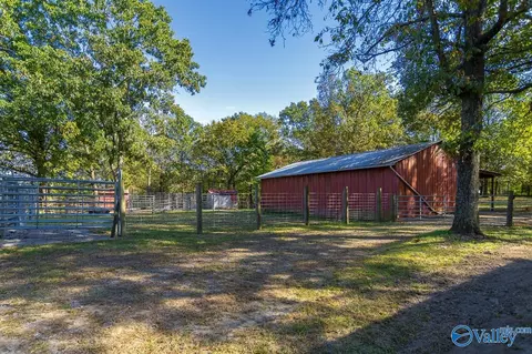 Exterior - 278 John Johnson Rd, Trinity, AL 35673 photo 4 of 13