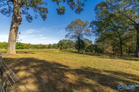 Exterior - 278 John Johnson Rd, Trinity, AL 35673 photo 7 of 13
