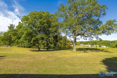 Exterior - 278 John Johnson Rd, Trinity, AL 35673 photo 11 of 13