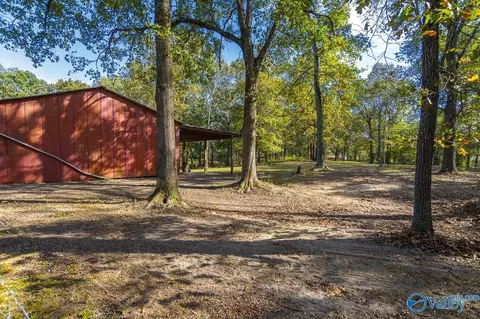 Exterior - 278 John Johnson Rd, Trinity, AL 35673 photo 3 of 13