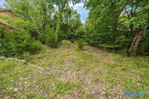 3040 Box Canyon Rd, Huntsville, AL 35803
