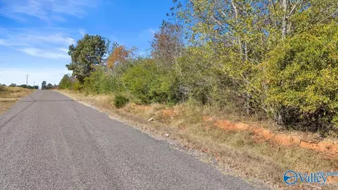 17 Acres County Road 66, Section, AL 35771 photo 6