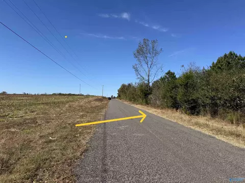 17 Acres County Road 66, Section, AL 35771 photo 2