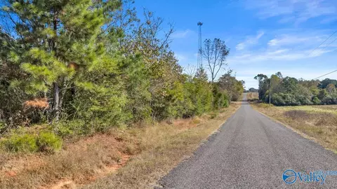 17 Acres County Road 66, Section, AL 35771 photo 7