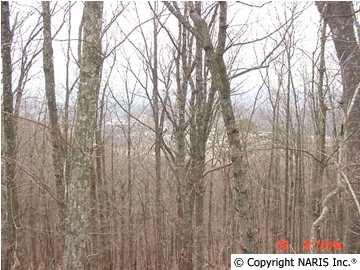4210 Citadel Rock Rd, Fort Payne, AL 35967