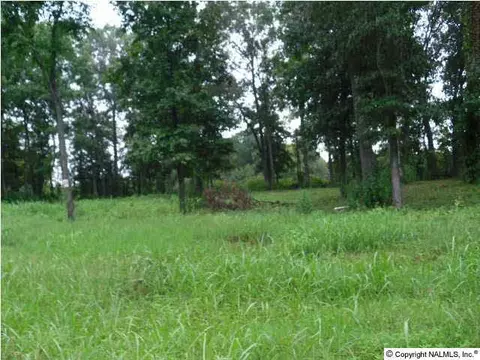 25 Forrest Home Dr, Trinity, AL 35673 photo 1