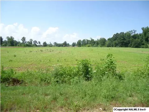1007 County Road 387, Dutton, AL 35744 photo 2