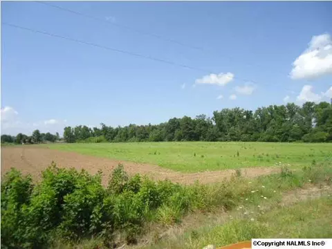 1007 County Road 387, Dutton, AL 35744 photo 3
