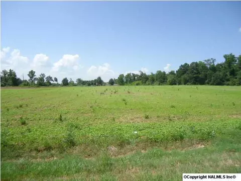 1007 County Road 387, Dutton, AL 35744 photo 1