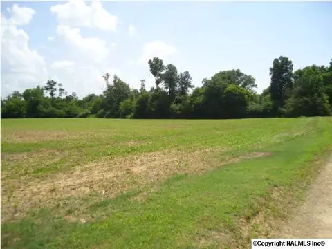 1007 County Road 387, Dutton, AL 35744 photo 6