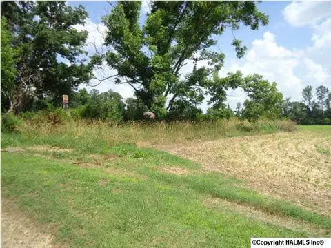 1007 County Road 387, Dutton, AL 35744 photo 5