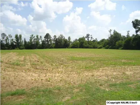 1007 County Road 387, Dutton, AL 35744 photo 7