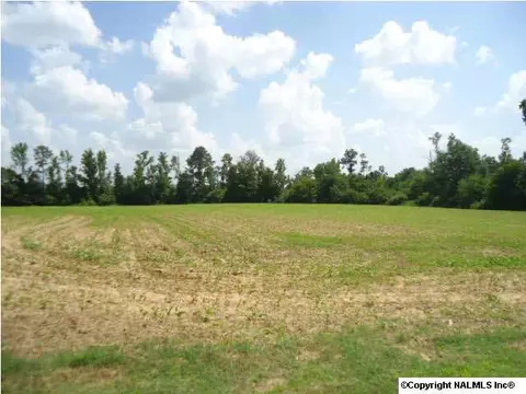 1007 County Road 387, Dutton, AL 35744 photo 4